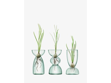 Set de vaze, Canopy, înălţime 13 cm, transparente - LSA International