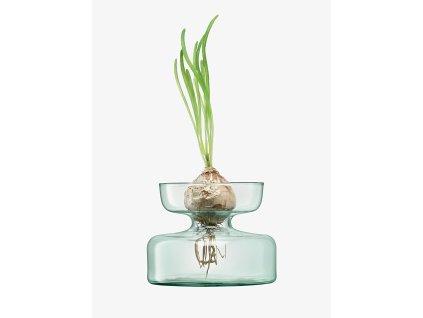 Vază / ghiveci de sticlă, înălțime 10 cm, transparentă- LSA International