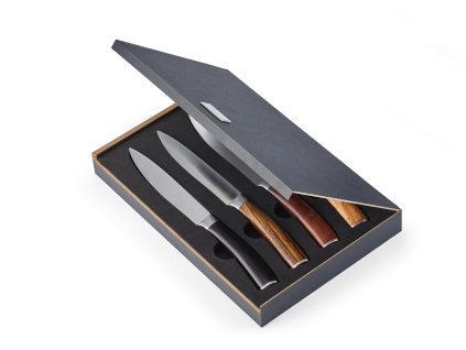 353002 GARRY edles steakmesserset steahbesteck geschenk maenner