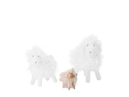 285050 ALBERT Schaf.jpg