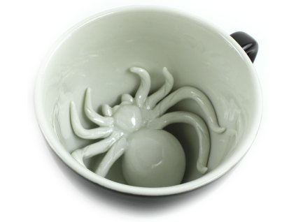 spider