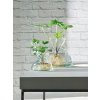 44148 9 vaza canopy vyska 18 cm cira lsa international
