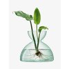 44148 5 vaza canopy vyska 18 cm cira lsa international