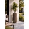 Elegant patio with Dracaena planter