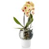 14961 2 samozavlazovaci skleneny kvetinac na orchidej prumer 15cm eva solo