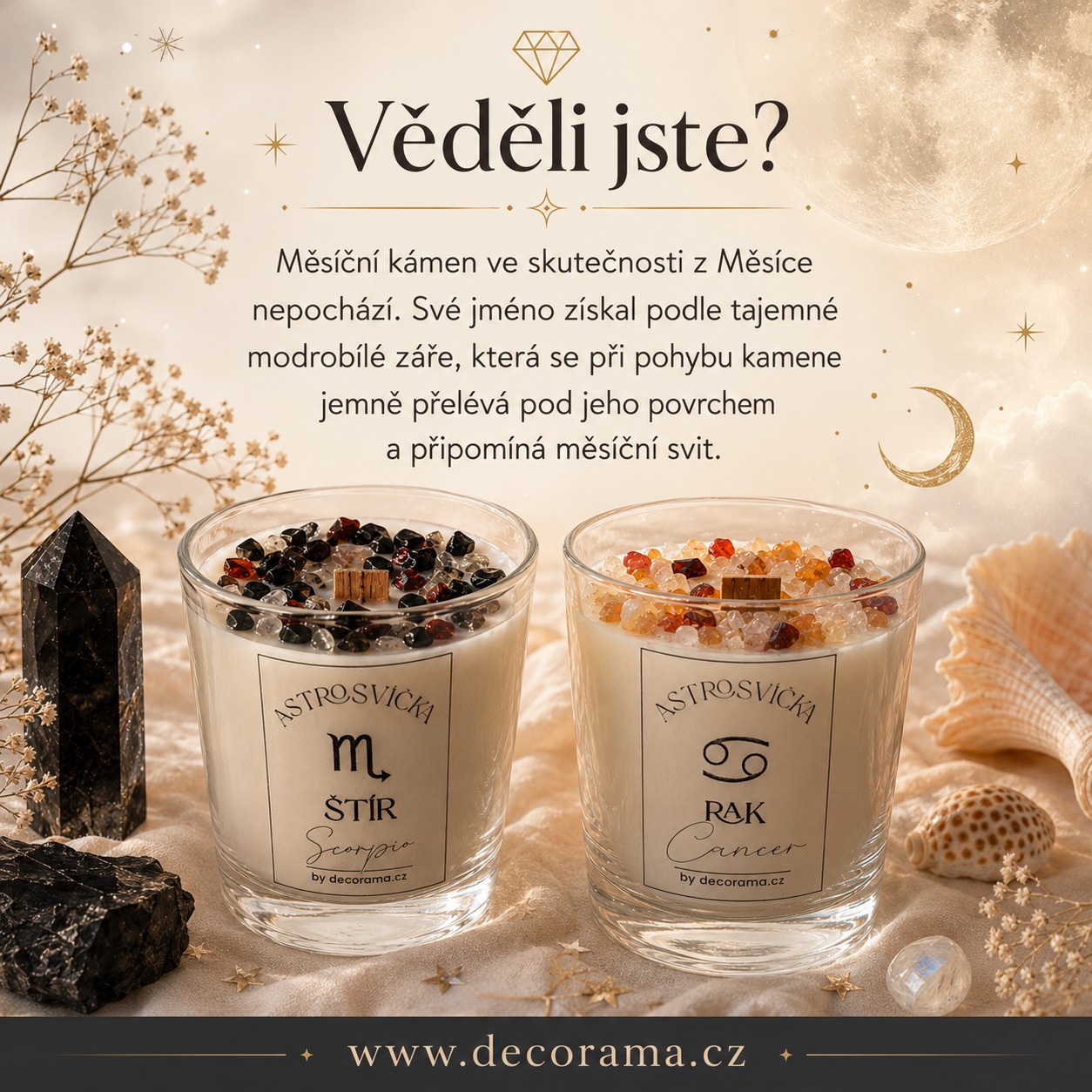 Mezinárodní den Měsíce