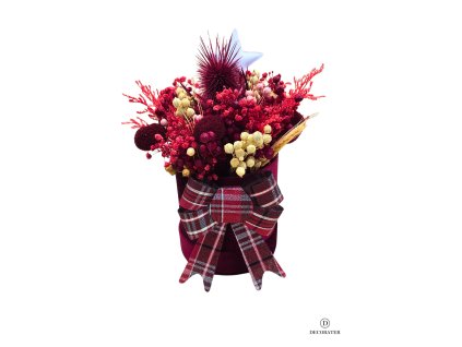 Návrh bez názvu 2025 11 10T185421.398