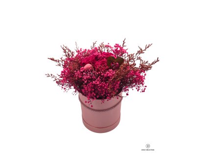 Návrh bez názvu 2026 01 27T173633.798