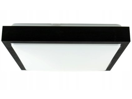 Stropné svietidlo 2x E27 LED čierna SUPRA