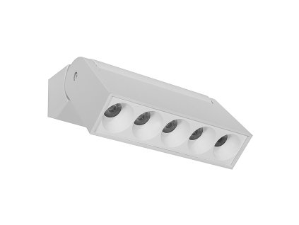 Nástenná reflektorová lampa DD-02 10W 3000K biela