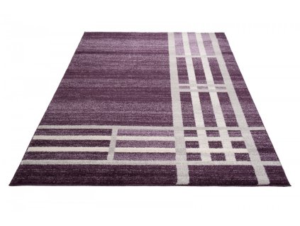 Kusový koberec 3445A tmavo fialový RASTA (Rozmer 240x330)