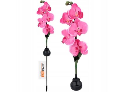 clipboard 07 09 2024 01 big