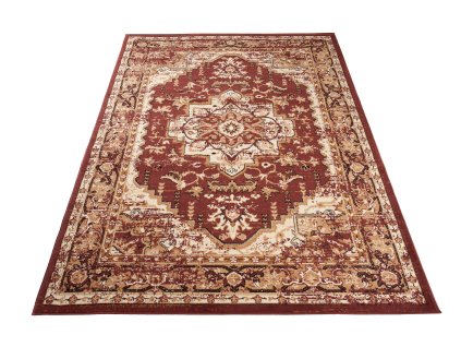 Kusový koberec Z828A hnedý EUFRAT BGX (Rozmer 240x330)