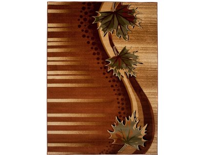 DECOREUM Koberec hnedý obdĺžnik heat-set polyprolylén a7f98ea52522350-80x150