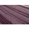 Kusový koberec 3437A tmavo fialový RASTA (Rozmer 80x150)