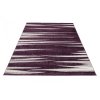 Kusový koberec 3436A tmavo fialový RASTA (Rozmer 240x330)