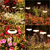 4x lampa solarna led ogrodowa wbijana 76 cm lampki grzybki 3000k informacje o bezpieczenstwie ce big
