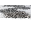Koberec OPTIMAL 5446A biely (Rozmer 200x300)