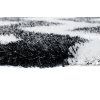 Koberec OPTIMAL 5446A biely (Rozmery 200x300)