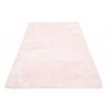 Koberec LIGHT BIRD FEATHER ružová (Rozmery 200x290)