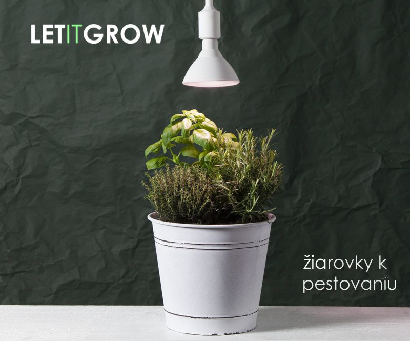 LED grow žiarovky na pestovanie
