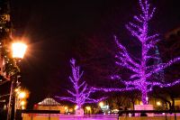 stromy_osvetlenie_bratislava_LED_vianoce
