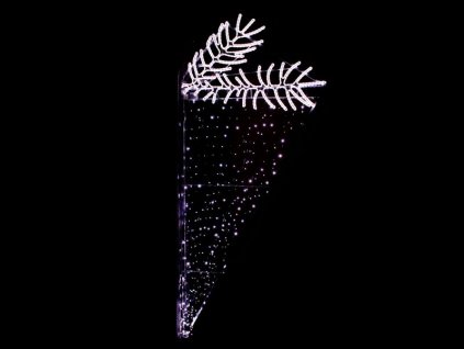 led motiv vetvicka