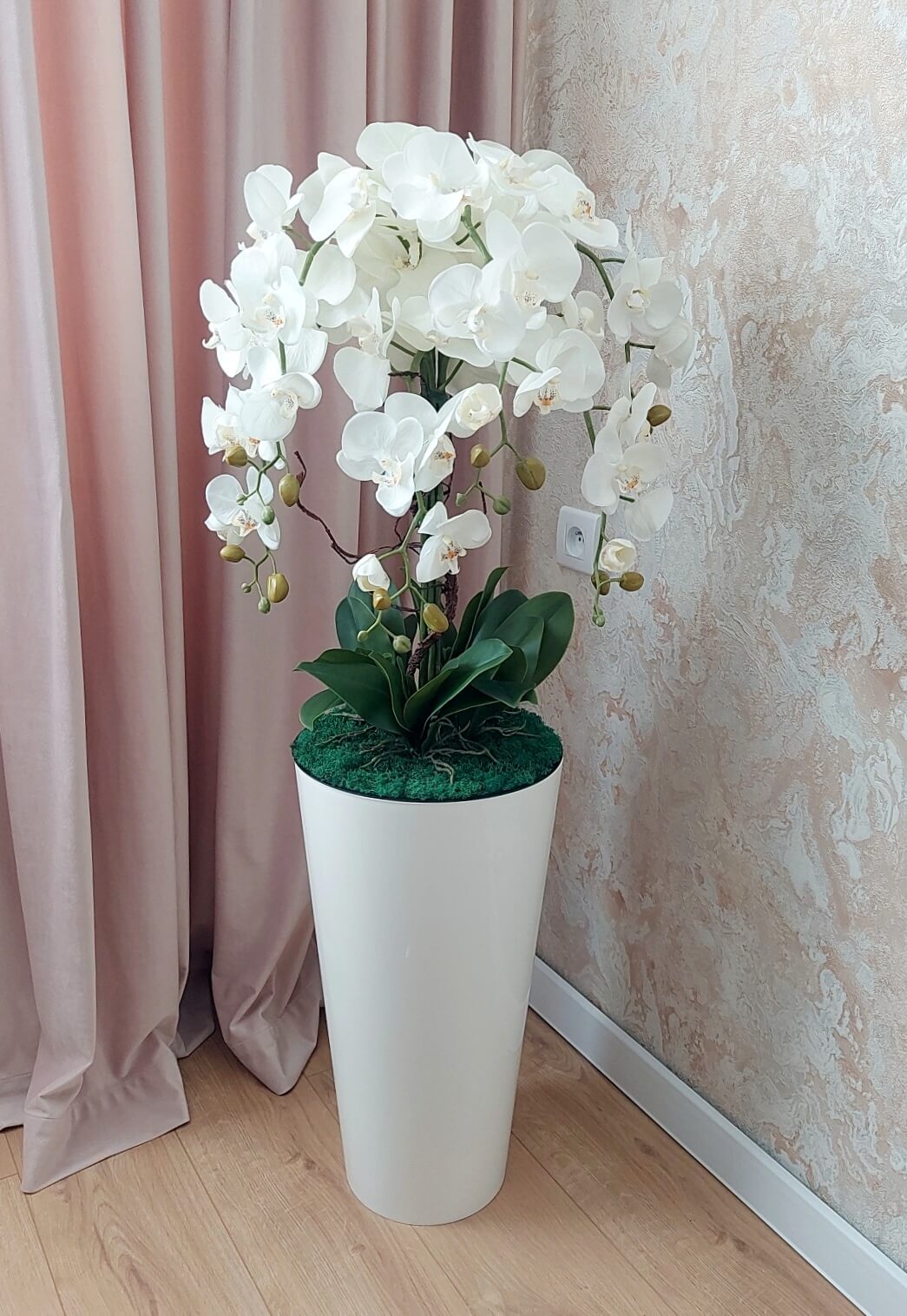 orchidea-na-zemi