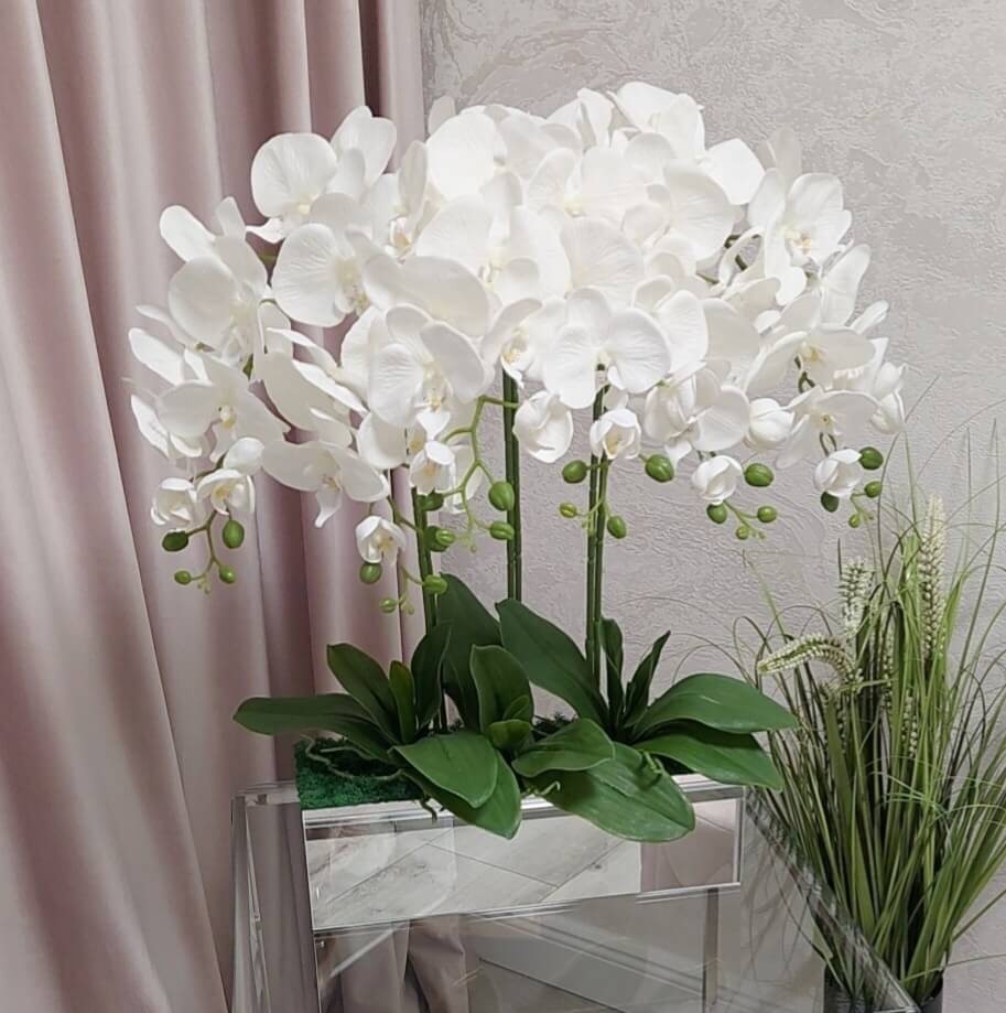umela-orchiea-vzrkadlovej-mise