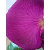 Umelá purpurová orchidea vo váze
