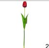 Tulipan-cerveny-decorglamour.sk