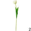 Tulipan-biely-decorglamour.sk