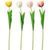 Tulipan-farebny-decorglamour.sk