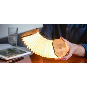 SmartAccordionLamp02