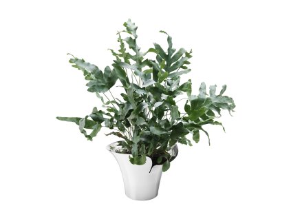 10019514 BLOOM BOTANICA FLOWER POT MEDIUM 190MM