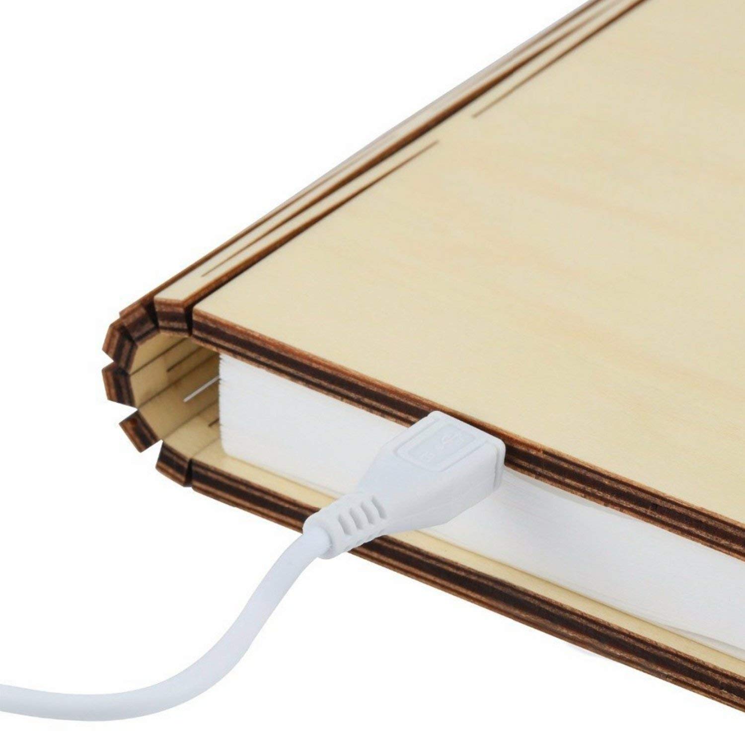 Rozkládací světlo "Smart Book" mini, javor - Gingko (obrázek 4)