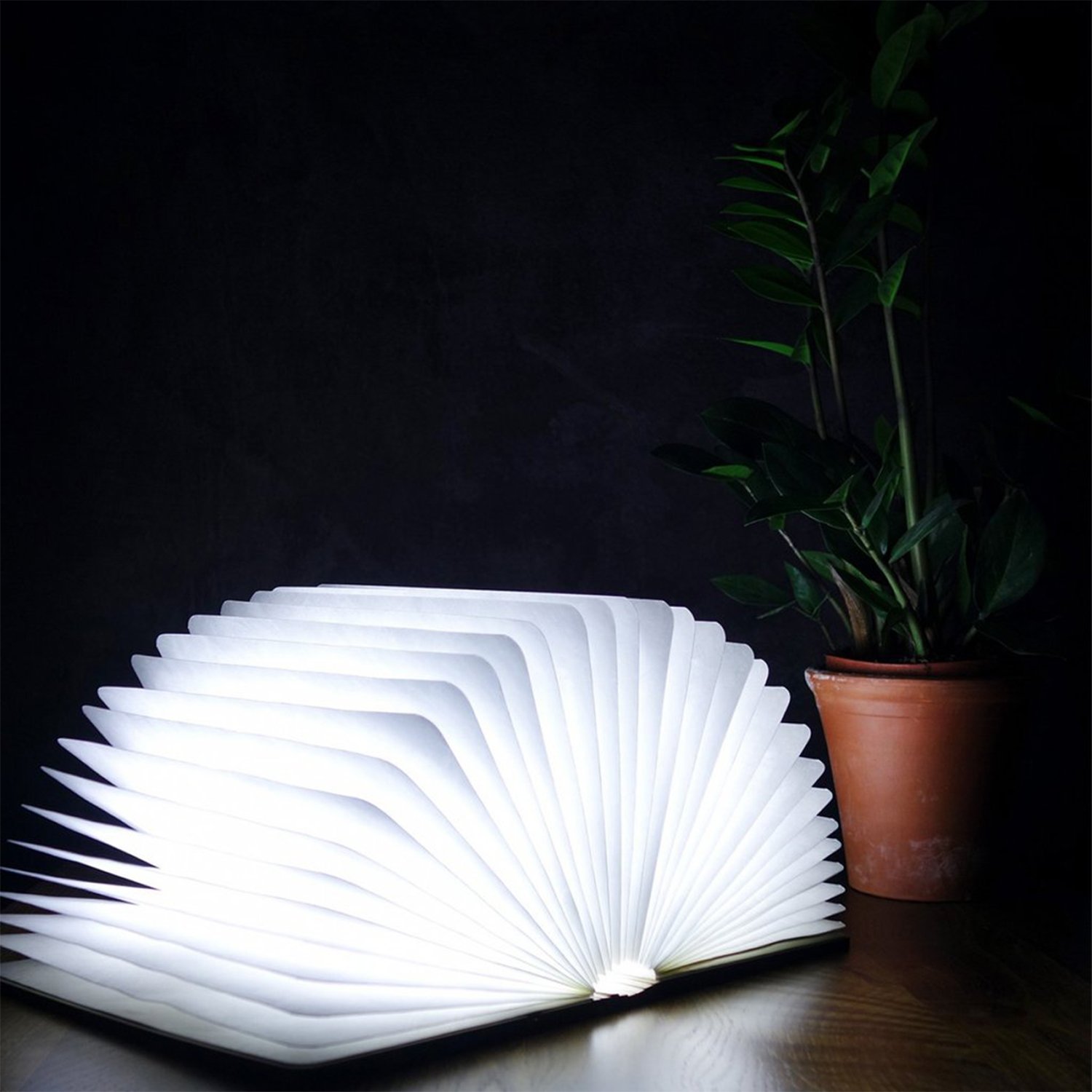 Rozkládací světlo "Smart Book" mini, javor - Gingko (obrázek 5)