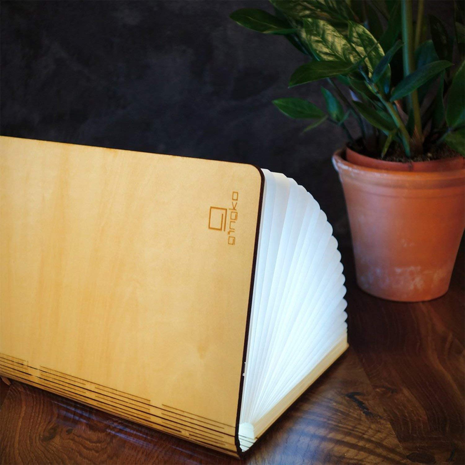 Rozkládací světlo "Smart Book" mini, javor - Gingko (obrázek 6)