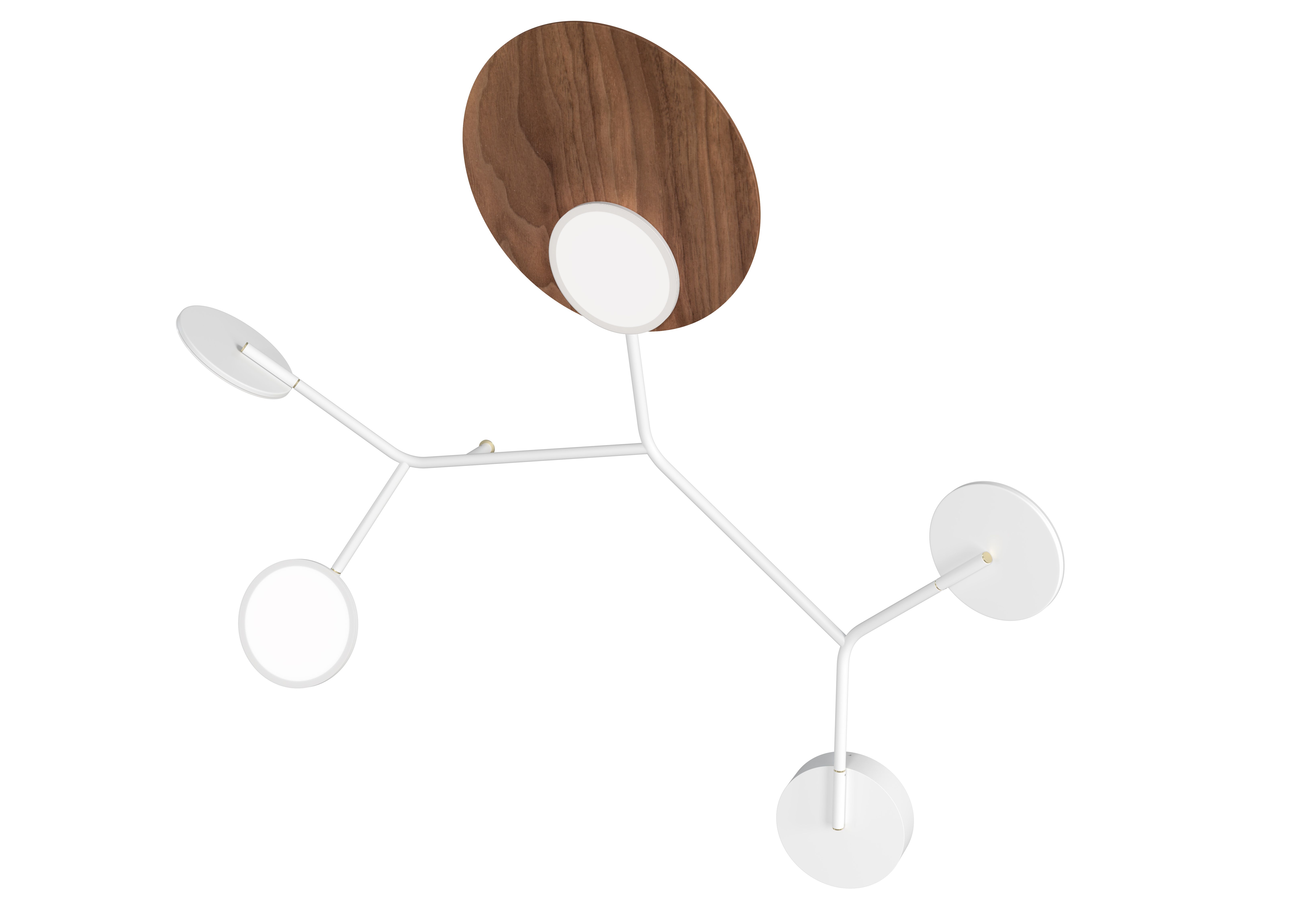 Nástěnná lampa Ballon 5 C, více variant - TUNTO Model: bílý rám a krycí část, panel ořechová překližka