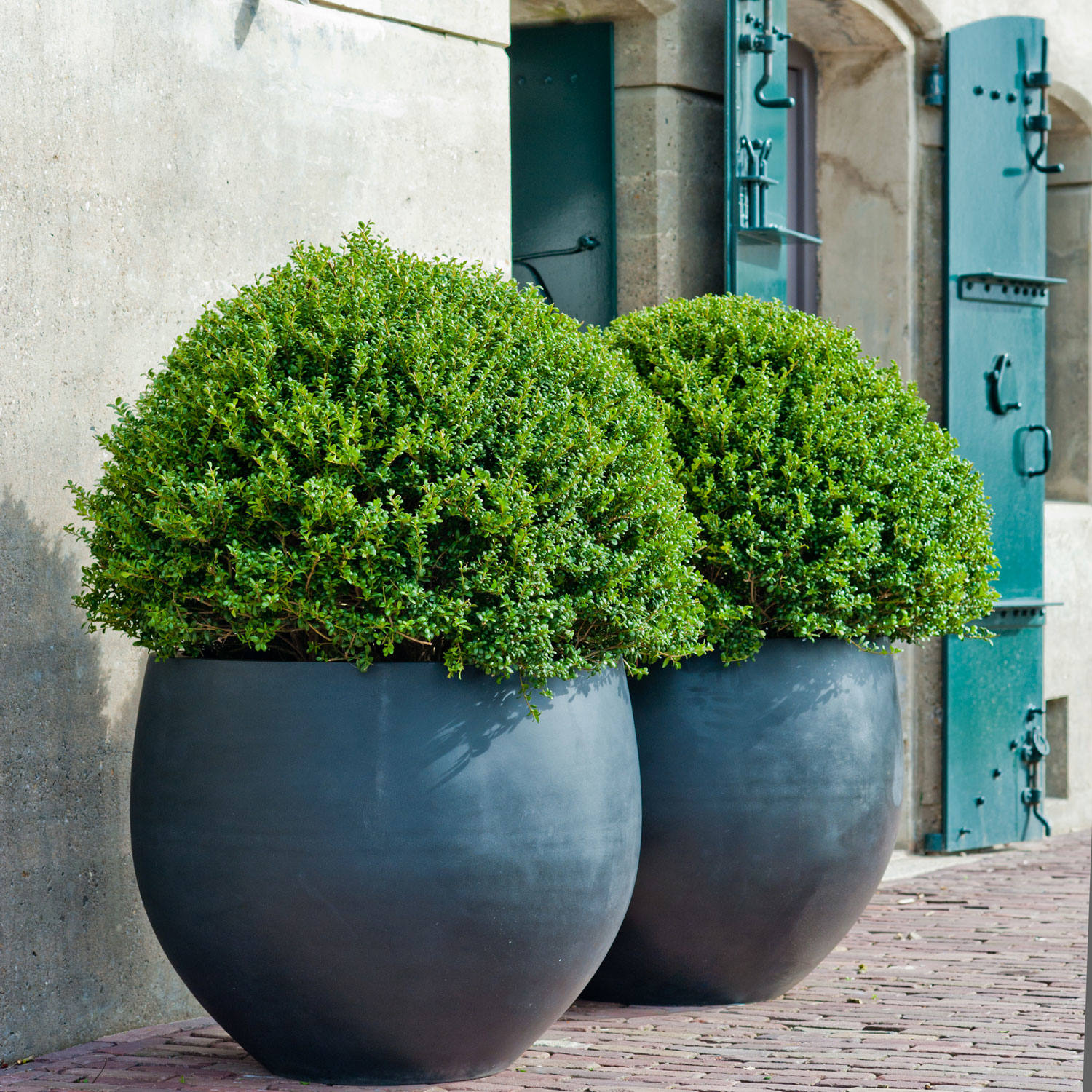 Květináč Jumbo Orb, barva černá, více velikostí - PotteryPots Velikost: L - v. 114 cm, ⌀ 133 cm (obrázek 3)
