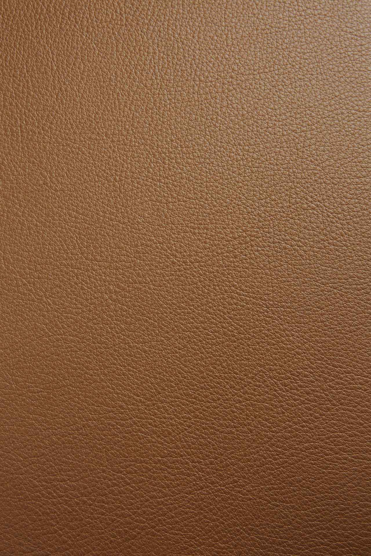 Jídelní židle Bok - lakovaný dub - Cognac kůže - Ethnicraft (obrázek 6)