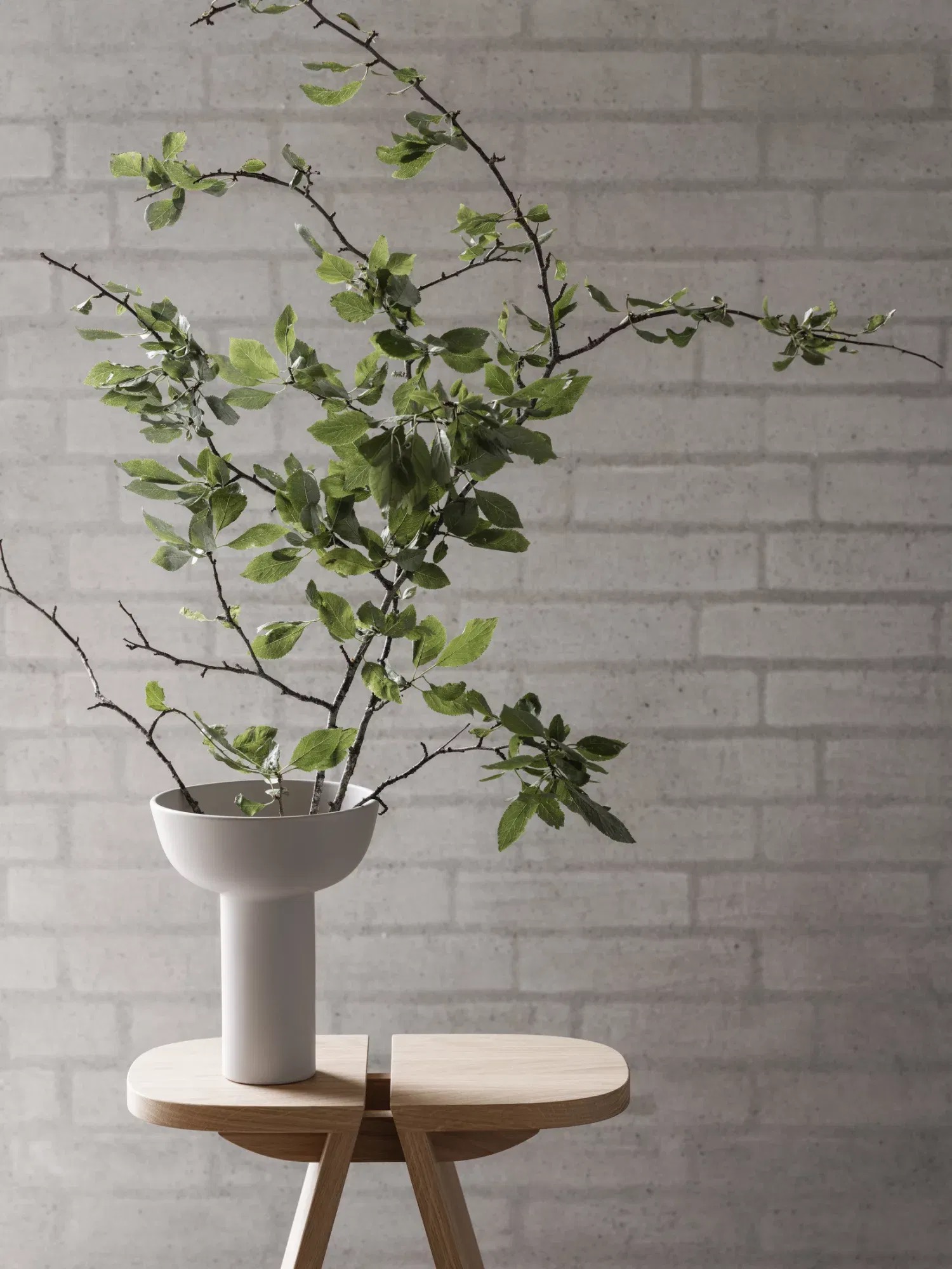 Stolička, kolekce AVIO |  V 45 cm, Š 38 cm, H 23 cm  - Dub - Blomus (obrázek 6)