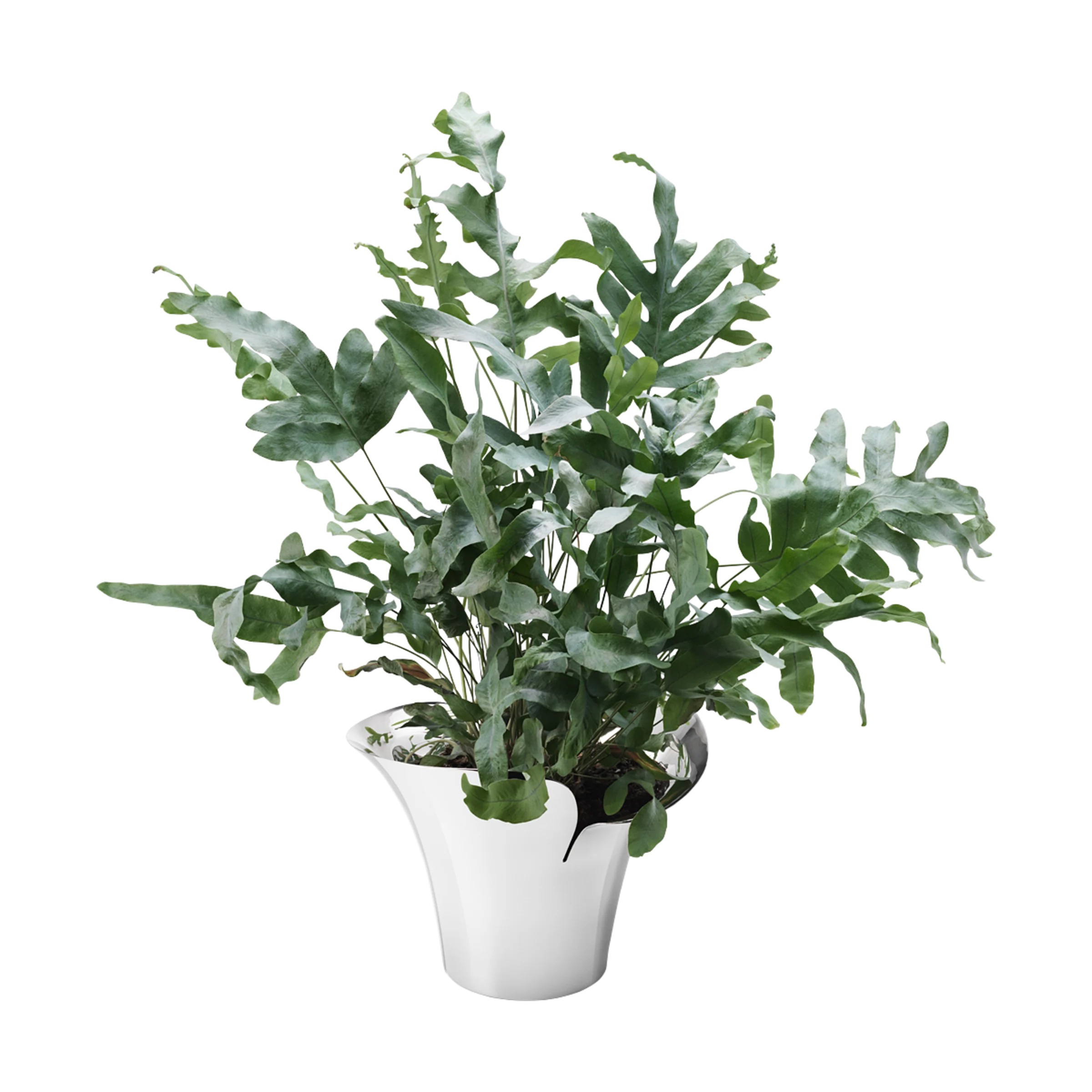 Levně Nerezový květináč BLOOM BOTANICA, 32,5 cm - Georg Jensen