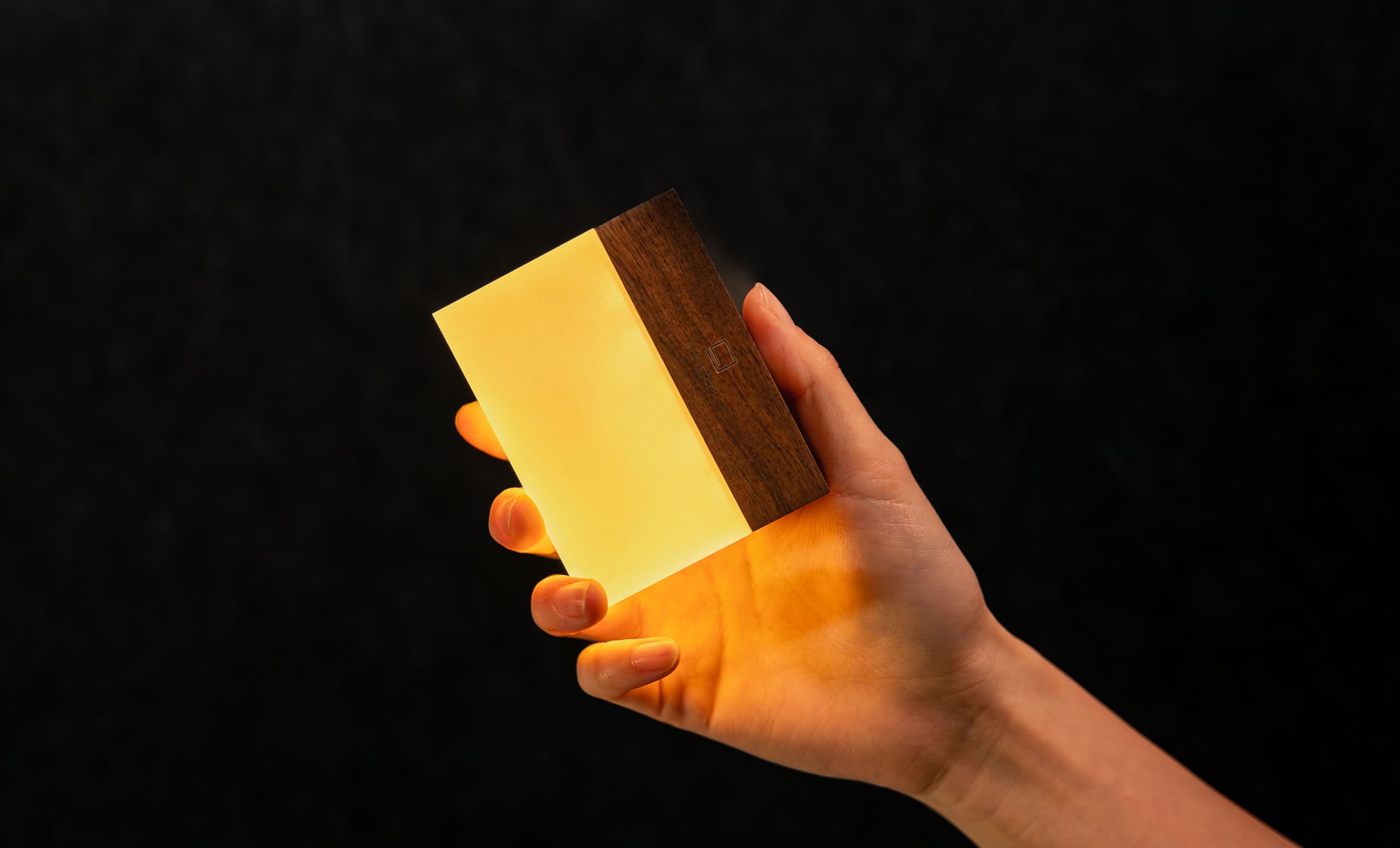 Lampička CuraCheese, více variant - Gingko Varianta: ořech (obrázek 7)