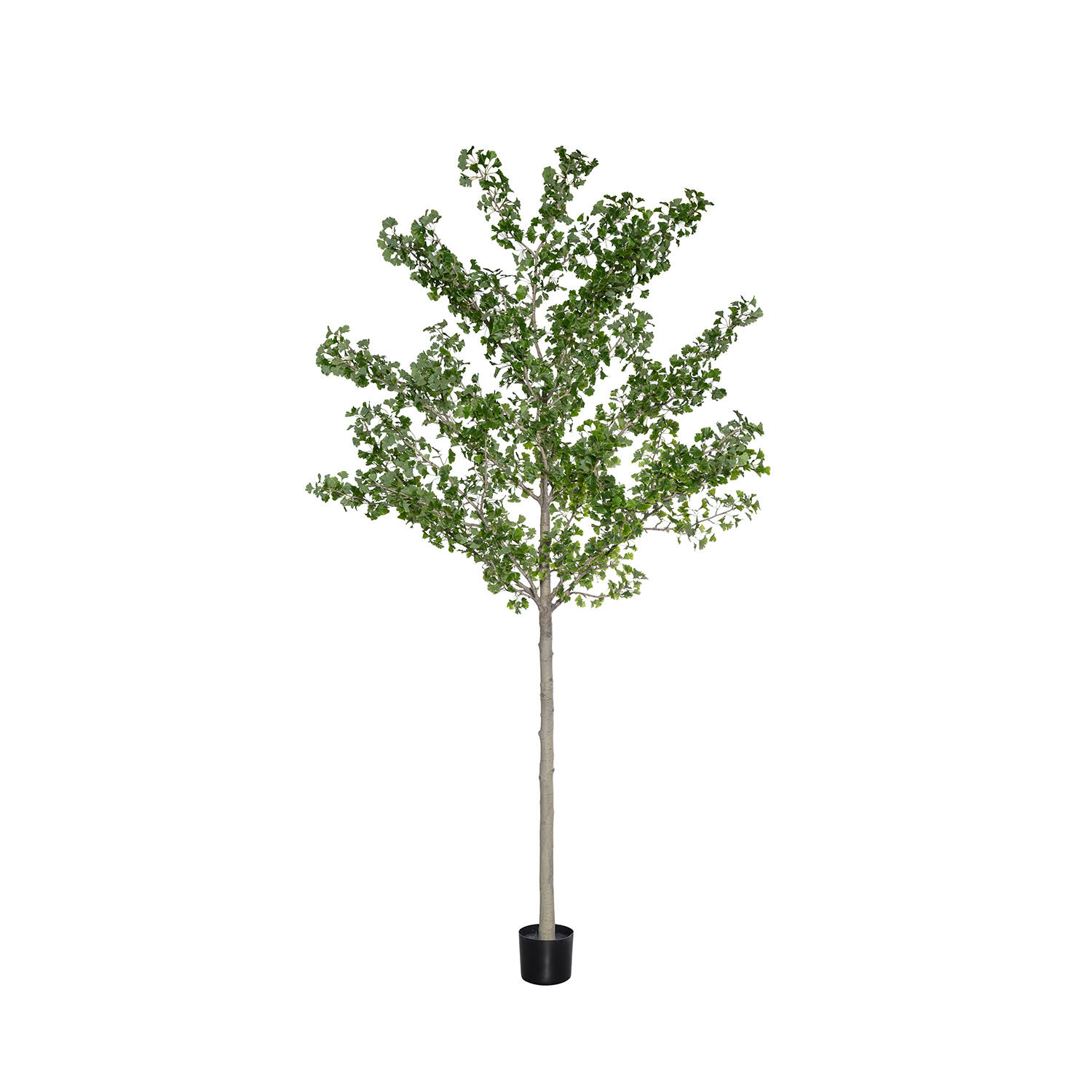 Levně Pottery Pots Realistický umělý strom Ginko Biloba, více velikostí - PotteryPots Velikost: XXL - ø 55 cm | v. 360 cm