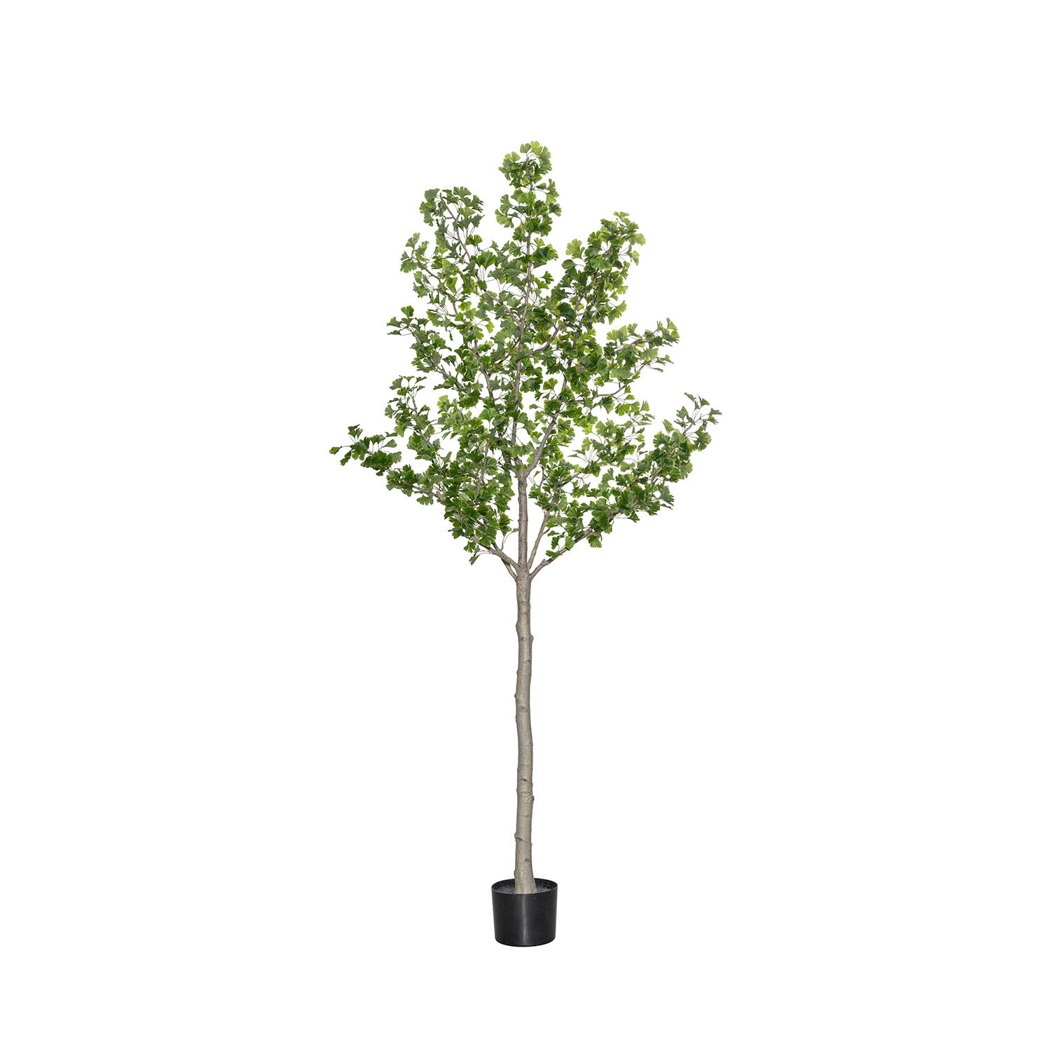 Levně Pottery Pots Realistický umělý strom Ginko Biloba, více velikostí - PotteryPots Velikost: XL - ø 50 cm | v. 270 cm