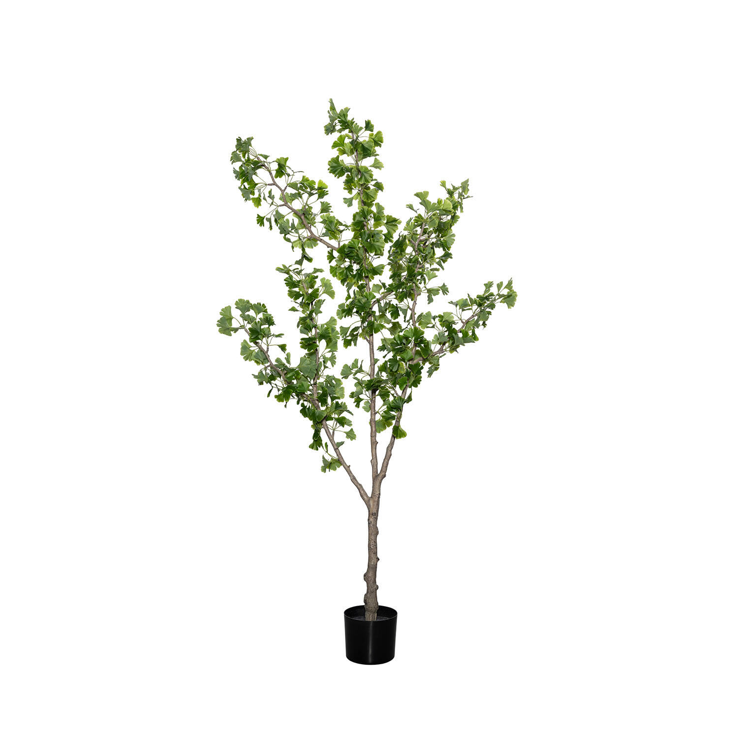 Levně Pottery Pots Realistický umělý strom Ginko Biloba, více velikostí - PotteryPots Velikost: L - ø 40 cm | v. 180 cm