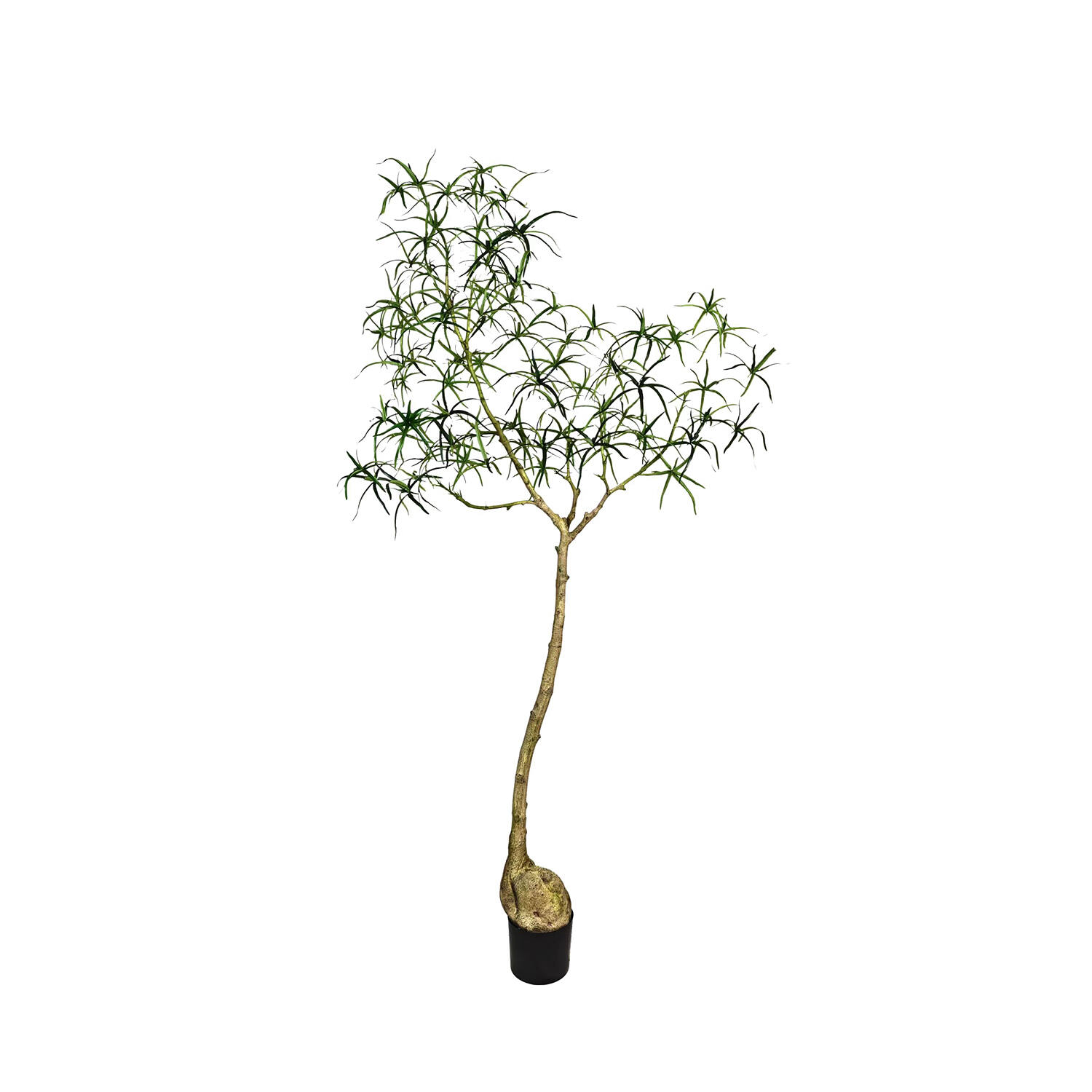 Pottery Pots Realistický umělý strom Lahvovník queenslandský, více velikostí - PotteryPots Velikost: L - ø 50 cm | v. 200 cm