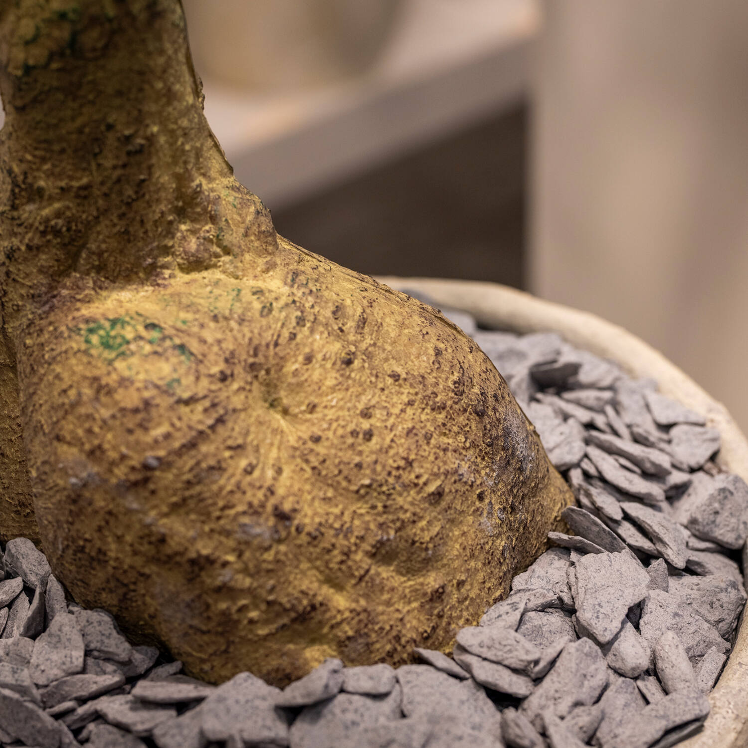 Pottery Pots Realistický umělý strom Lahvovník queenslandský, více velikostí - PotteryPots Velikost: L - ø 50 cm | v. 200 cm (obrázek 4)