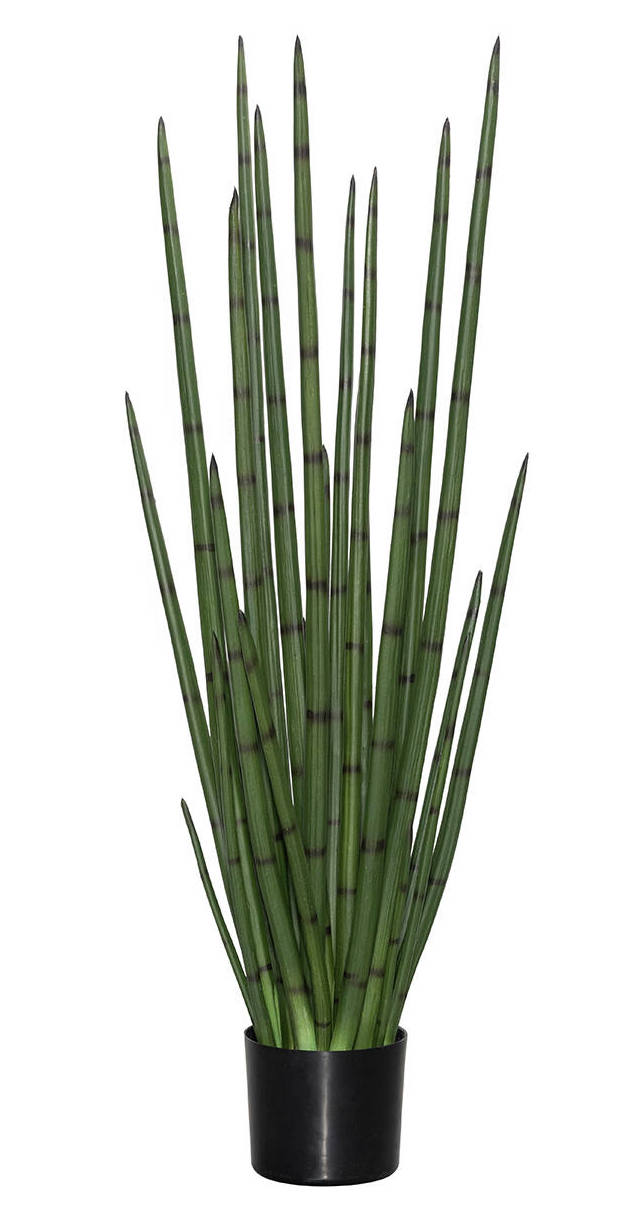 Levně Pottery Pots Realistická umělá rostlina Sansevieria cylindrica, více velikostí - PotteryPots Velikost: L - ø 35 cm | v. 180 cm
